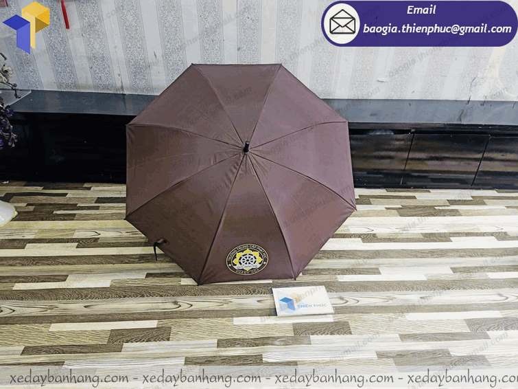hình ảnh dù đi mưa cầm tay quà tặng